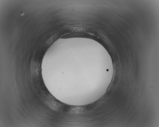 X0000080670125200701121643