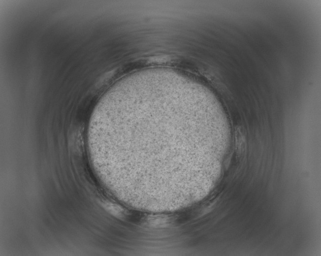 X0000080670127200701121642