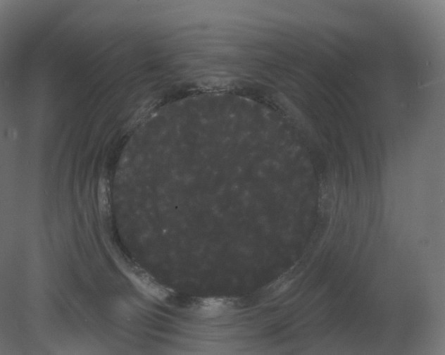 X0000080670130200701121642