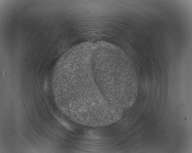 X0000080670134200701121642