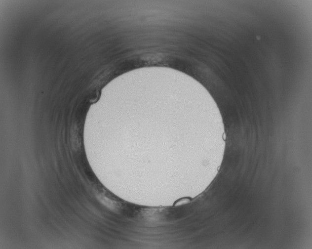 X0000080670136200701121642