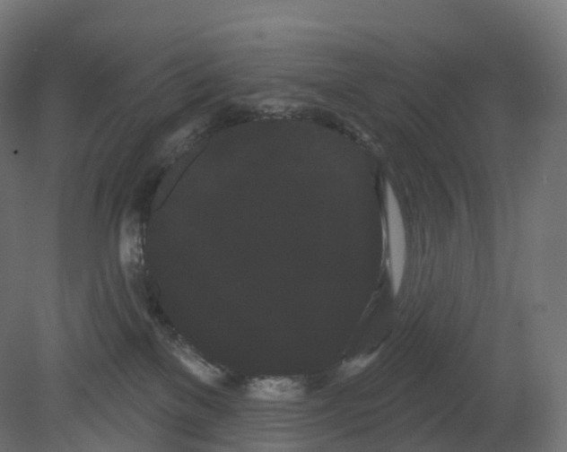 X0000080670137200701121642