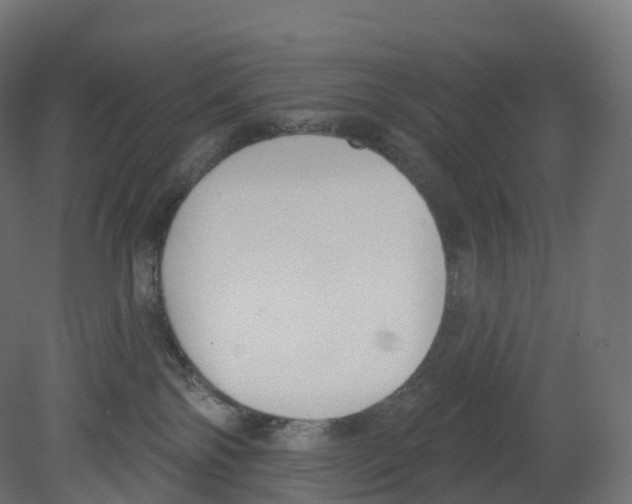 X0000080670138200701121642