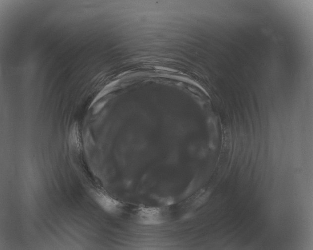 X0000080670143200701121642