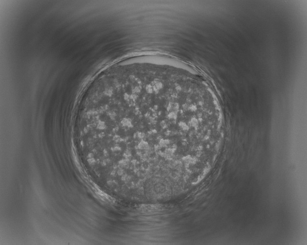 X0000080670145200701121641