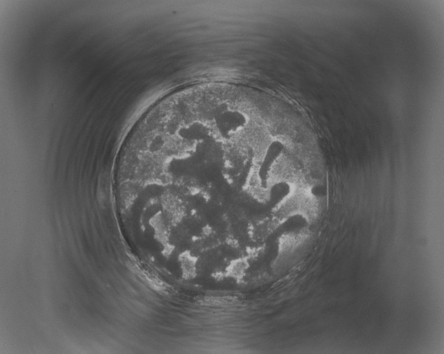 X0000080670147200701121641