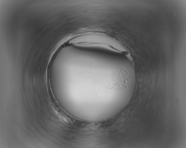 X0000080670148200701121641