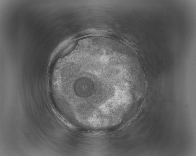 X0000080670149200701121641