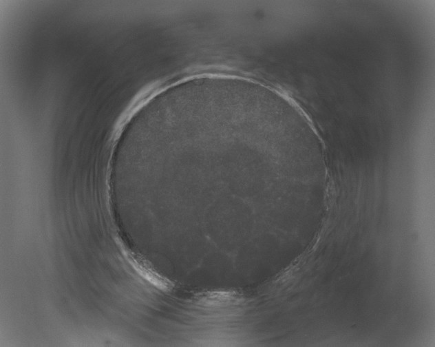 X0000080670151200701121641