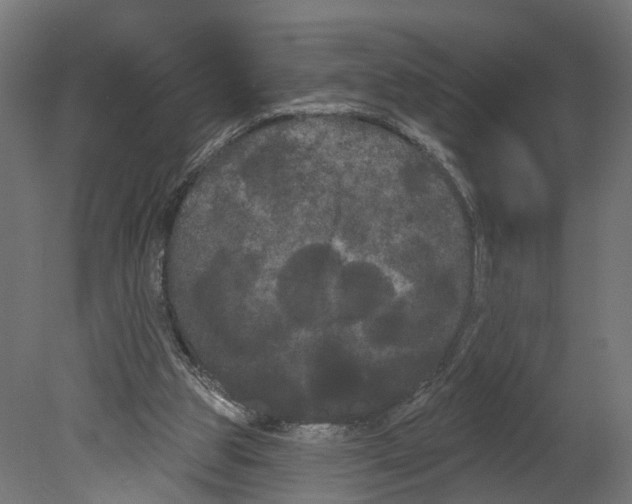 X0000080670153200701121642