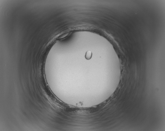 X0000080670154200701121642