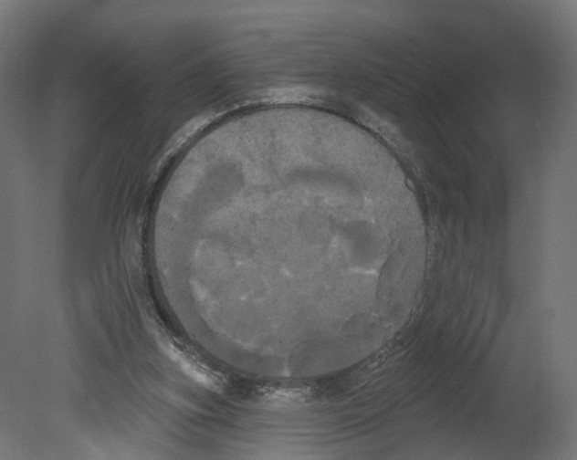 X0000080670155200701121642