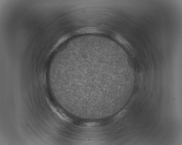 X0000080670158200701121642