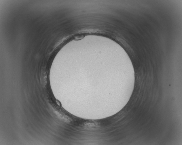 X0000080670160200701121642