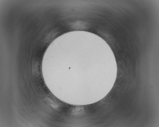 X0000080670162200701121642