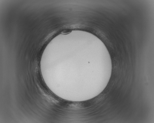 X0000080670164200701121642