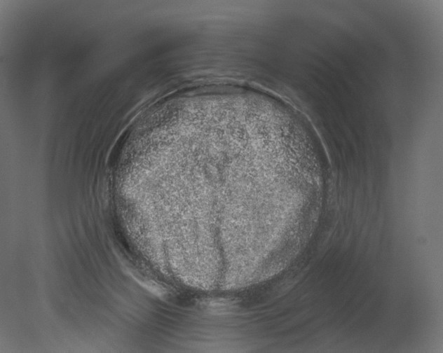 X0000080670165200701121642