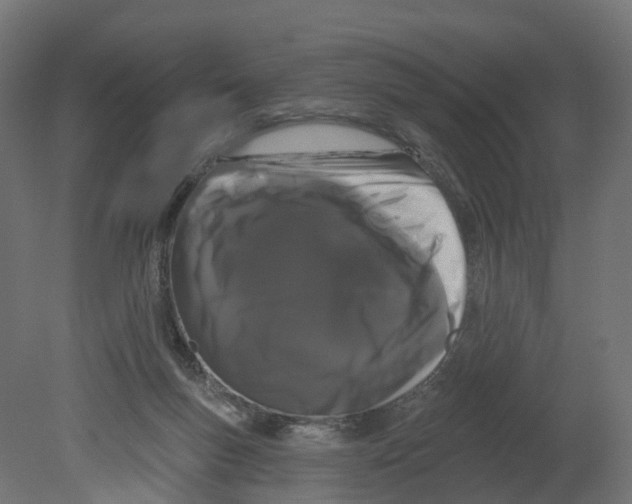 X0000080670167200701121642