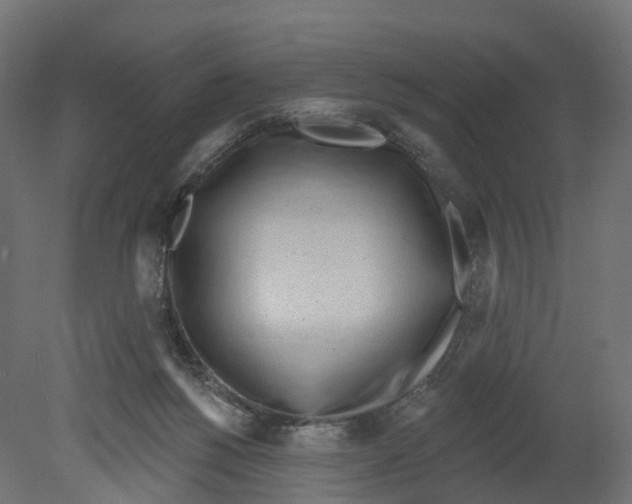 X0000080670168200701121642