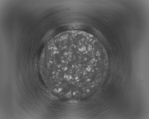 X0000080670169200701121642