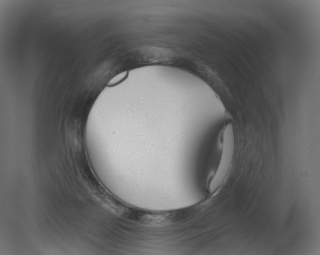 X0000080670170200701121642