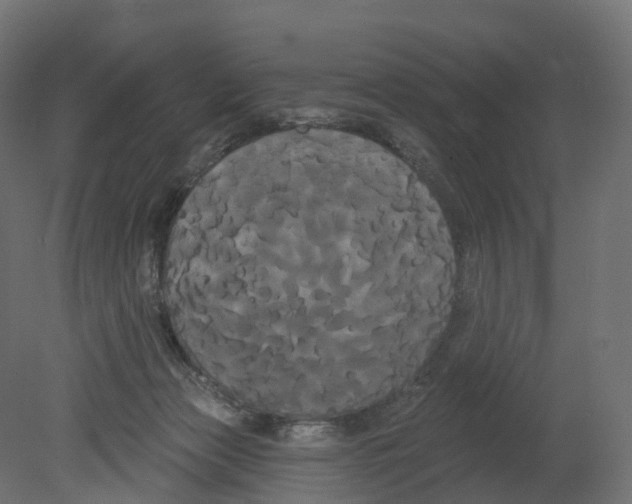 X0000080670173200701121642