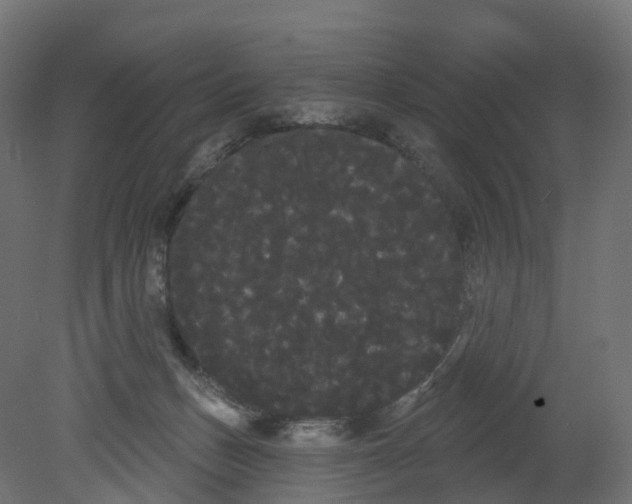 X0000080670175200701121642