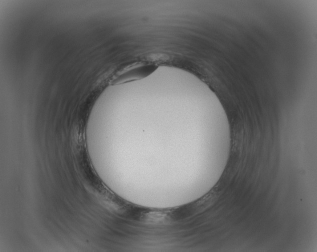 X0000080670176200701121642