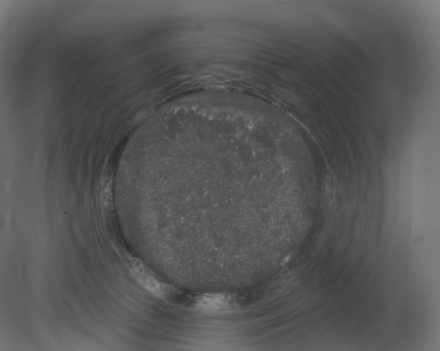 X0000080670177200701121642