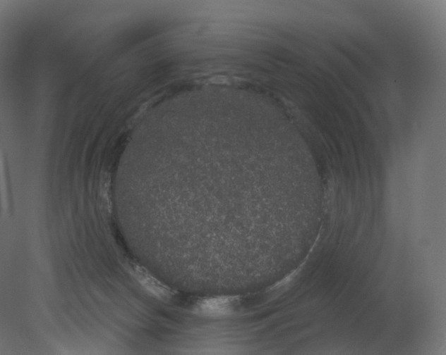 X0000080670178200701121642