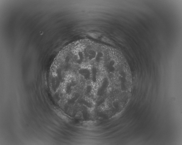 X0000080670182200701121642