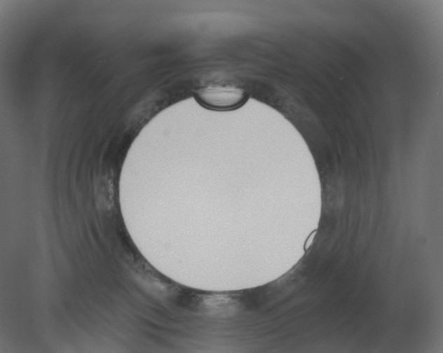 X0000080670183200701121642