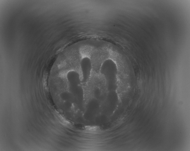 X0000080670185200701121642