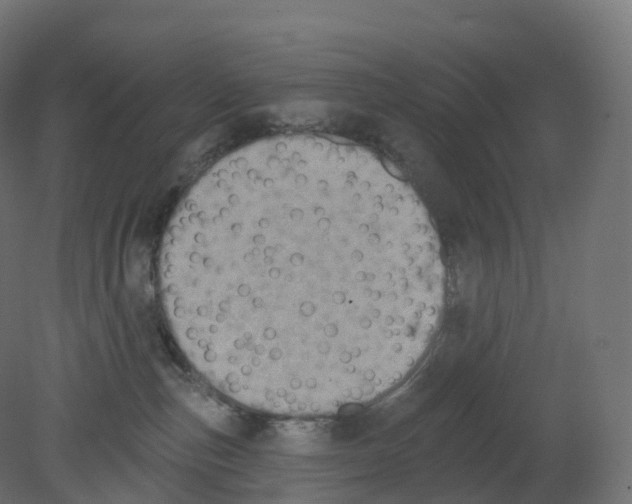 X0000080670187200701121642