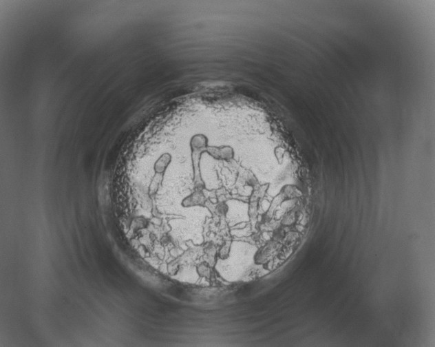 X0000080670191200701121642