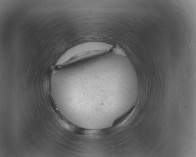 X0000080670192200701121642