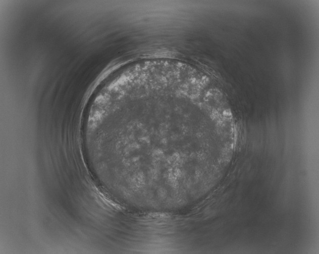 X0000080670195200701121641