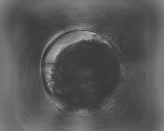 X0000080670196200701121641