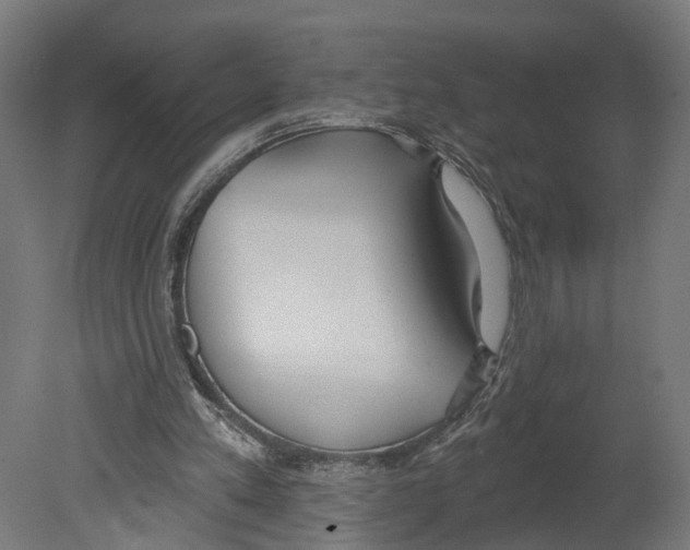 X0000080670197200701121641