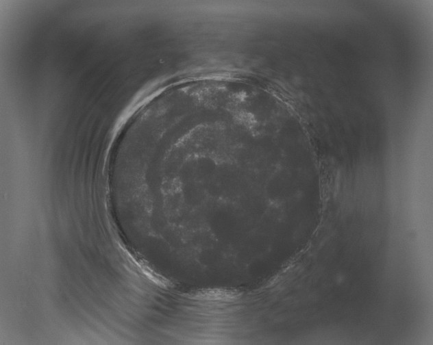 X0000080670198200701121641