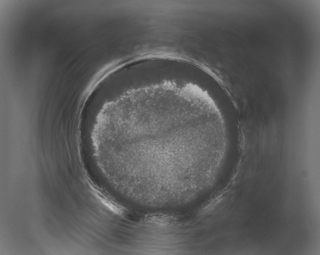 X0000080670199200701121641