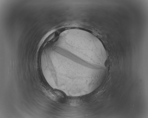 X0000080670200200701121641