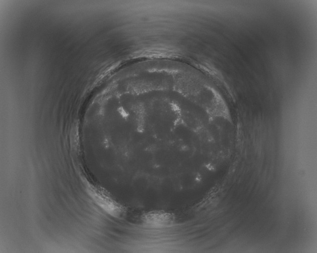 X0000080670202200701121641