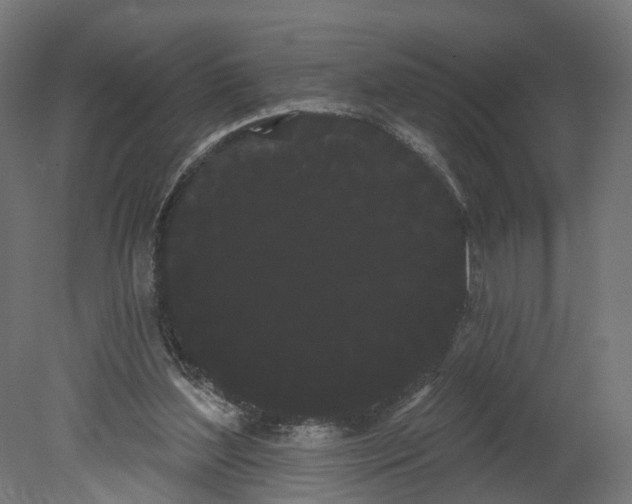 X0000080670204200701121641