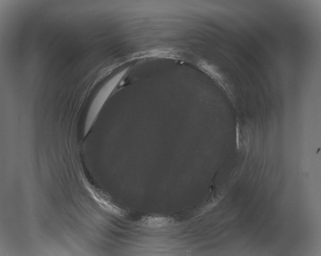 X0000080670205200701121641