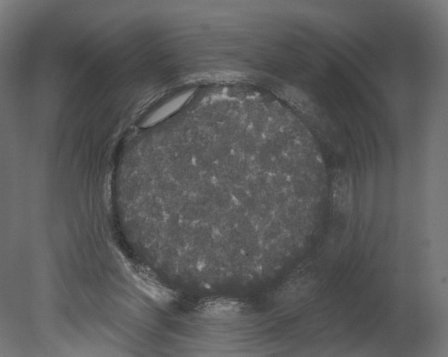 X0000080670206200701121641