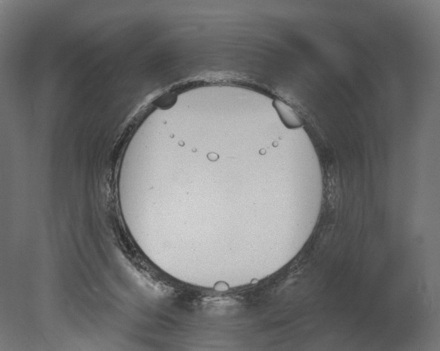 X0000080670208200701121641