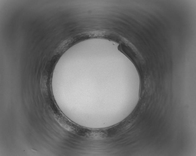 X0000080670209200701121641