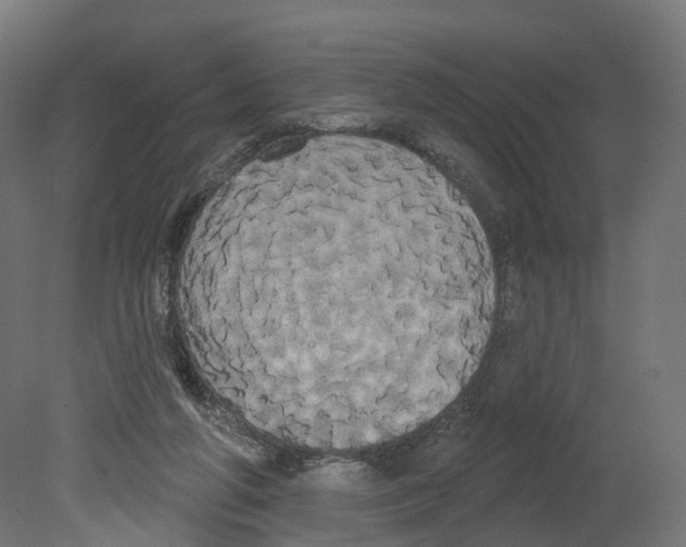 X0000080670210200701121641