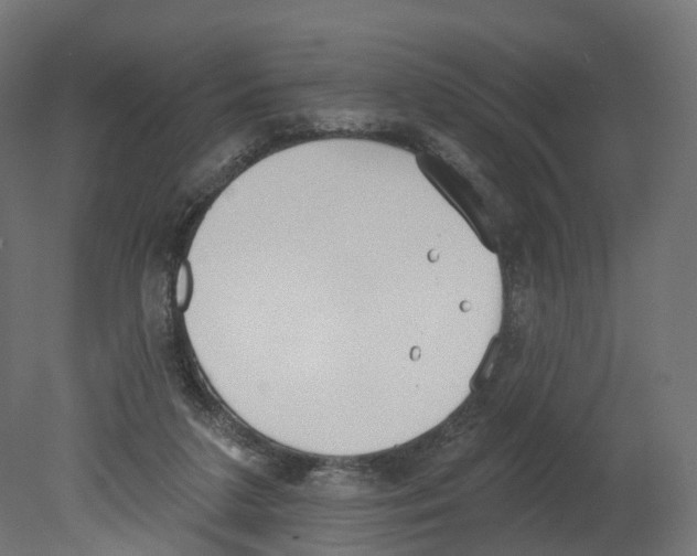 X0000080670211200701121641